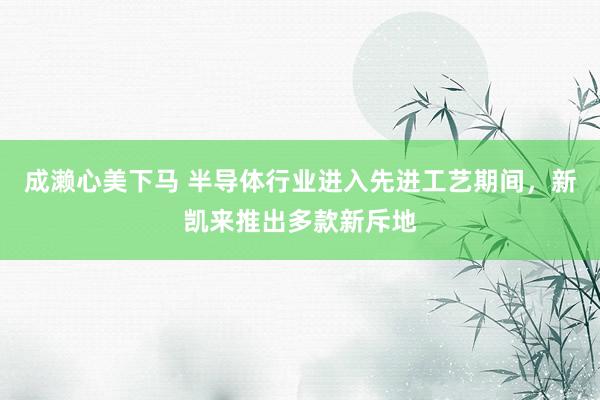 成濑心美下马 半导体行业进入先进工艺期间，新凯来推出多款新斥地